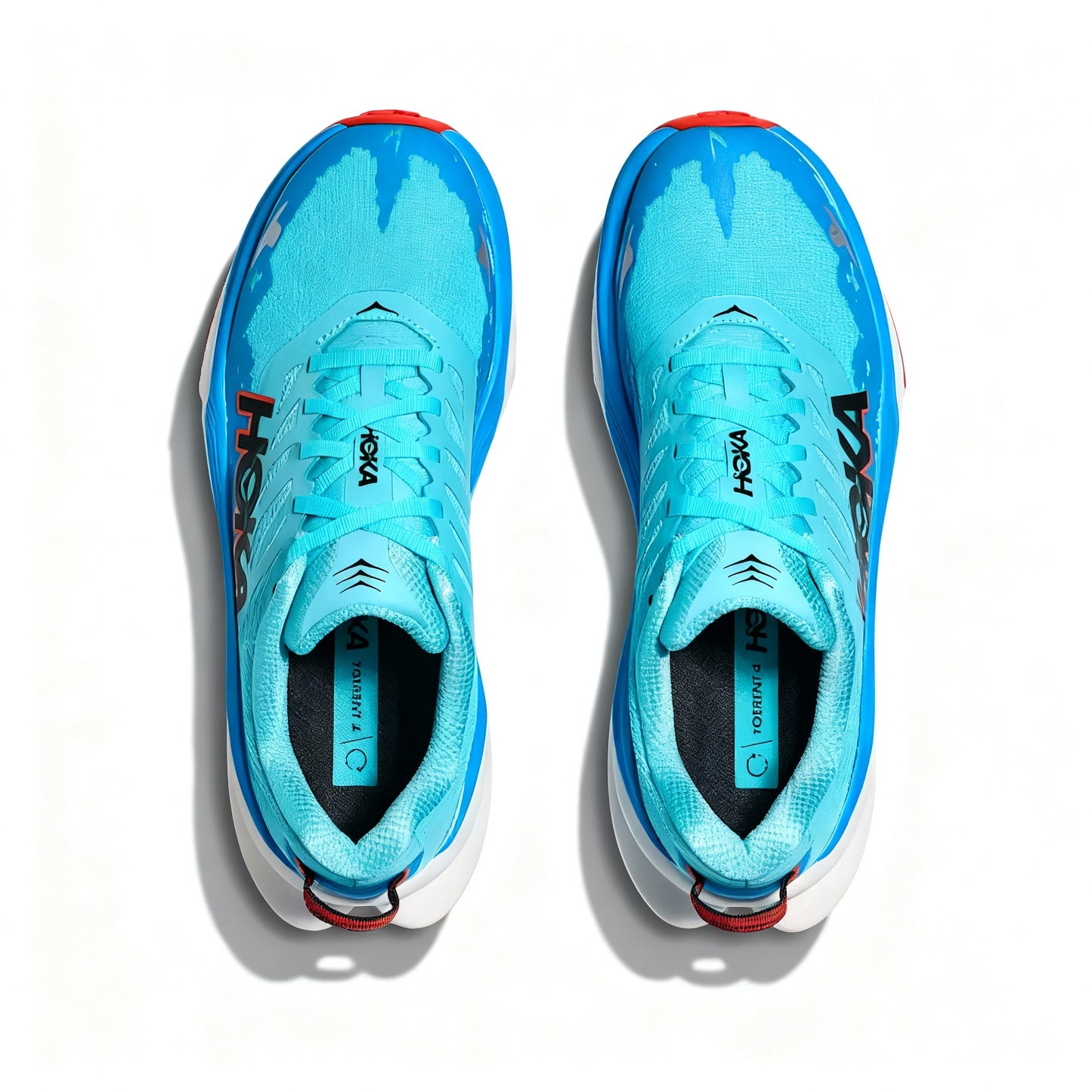Mens`s Torrent 4